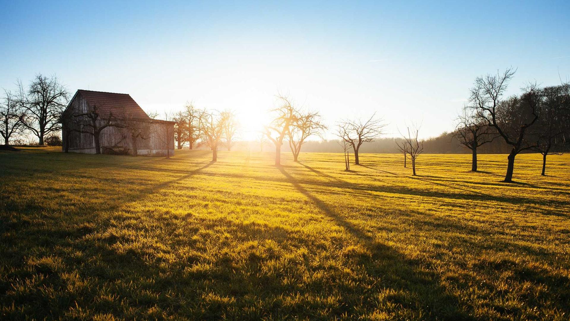 Three Longevity Signals to Watch This Week